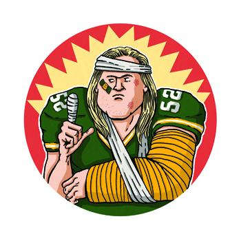 nfc north did you know